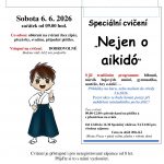 2026.06.06 Sobotní blbnutí pro děti
